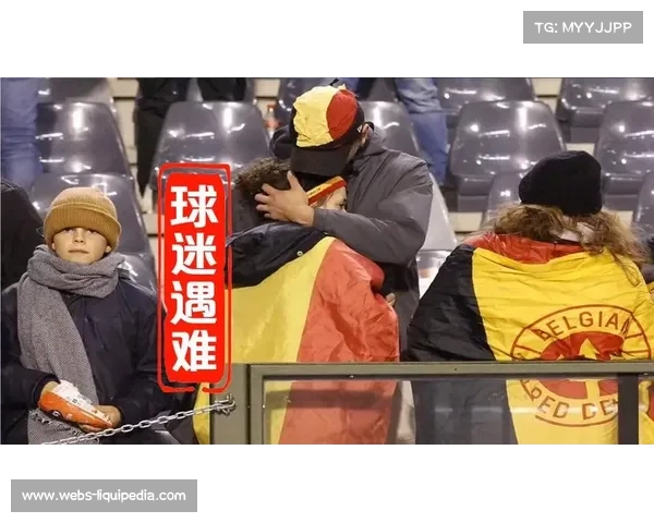 球迷骚乱事件调查启动,俱乐部安全协议受审查